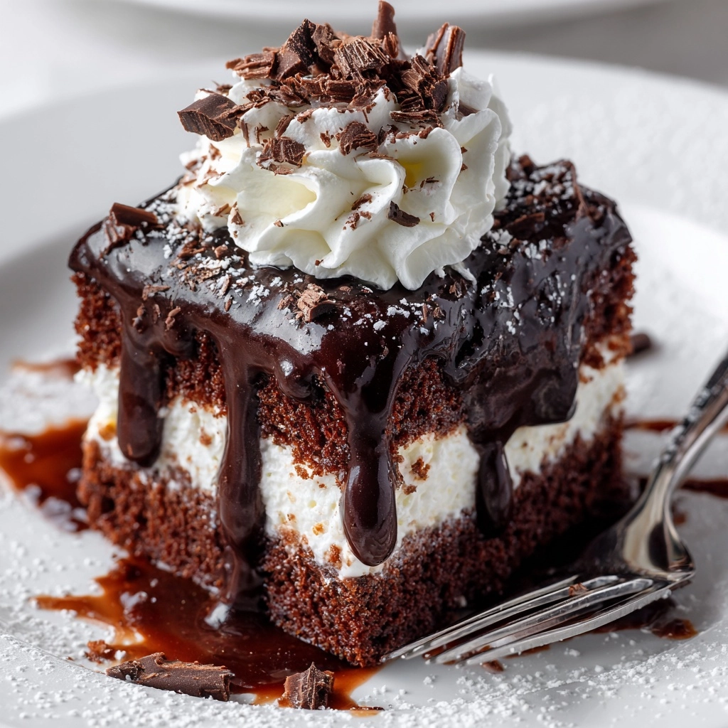 Hot Fudge Chocolate Pudding Cake Recipe - Recipe Image