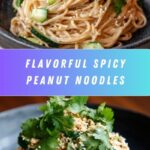 Spicy Peanut Noodles with Cucumber Recipe