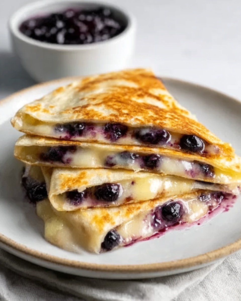 Blueberry Breakfast Quesadilla Recipe - Recipe Image