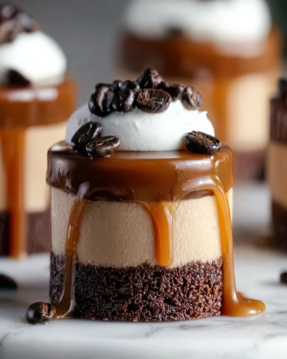 Salted Caramel Mocha Cheesecakes Recipe - Recipe Image