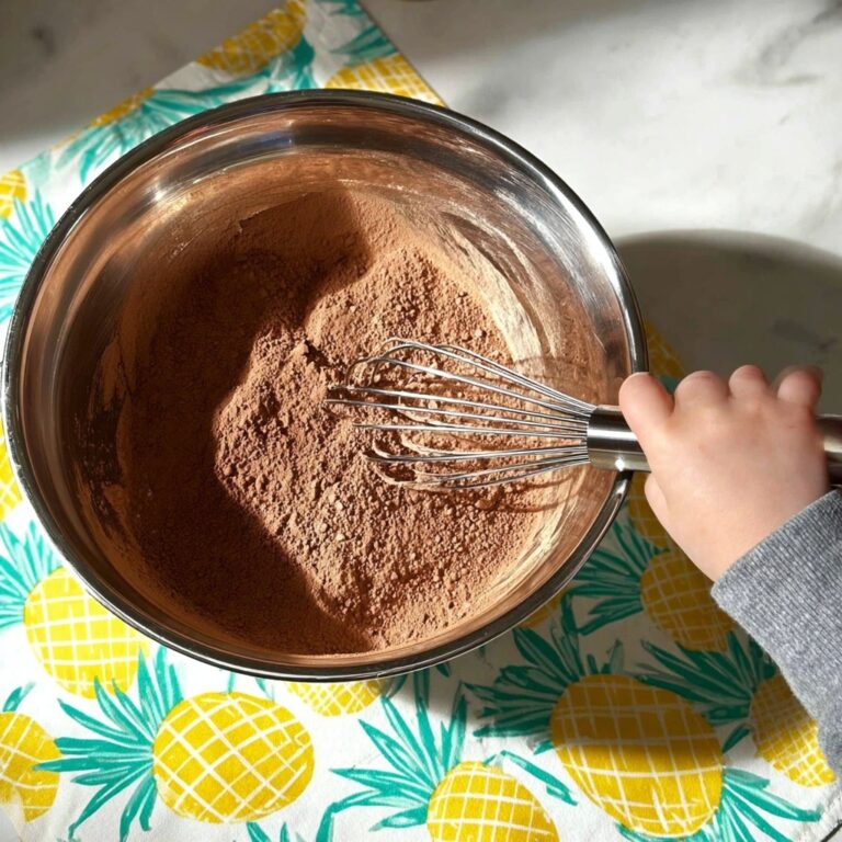 S’mores Snow Ice Cream Recipe