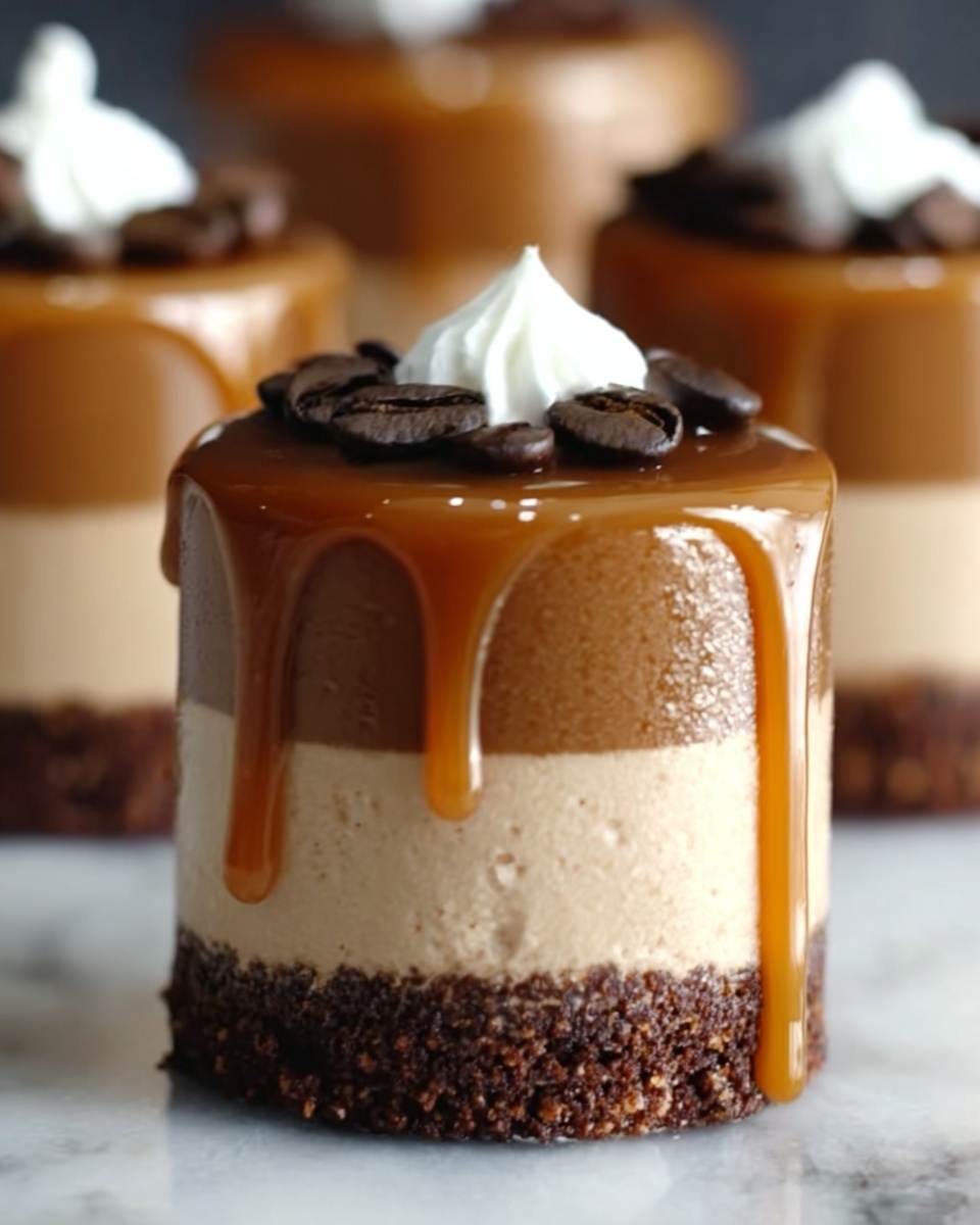 Salted Caramel Mocha Cheesecakes Recipe - Recipe Image